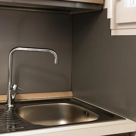 Dal Gatto E La Volpe